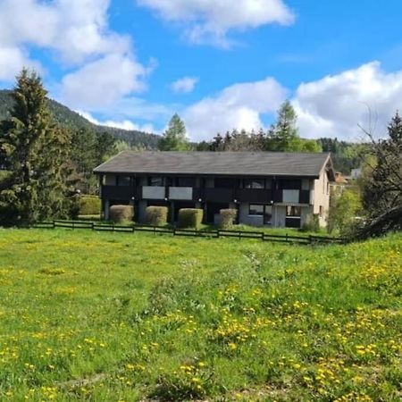 Le Meaudret Apartment Autrans-Meaudre-en-Vercors Exterior foto